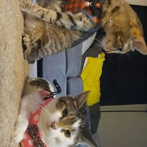 Meet your Posher, Michaela